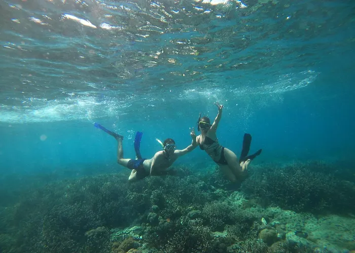 Dua Putri Komodo Homestay