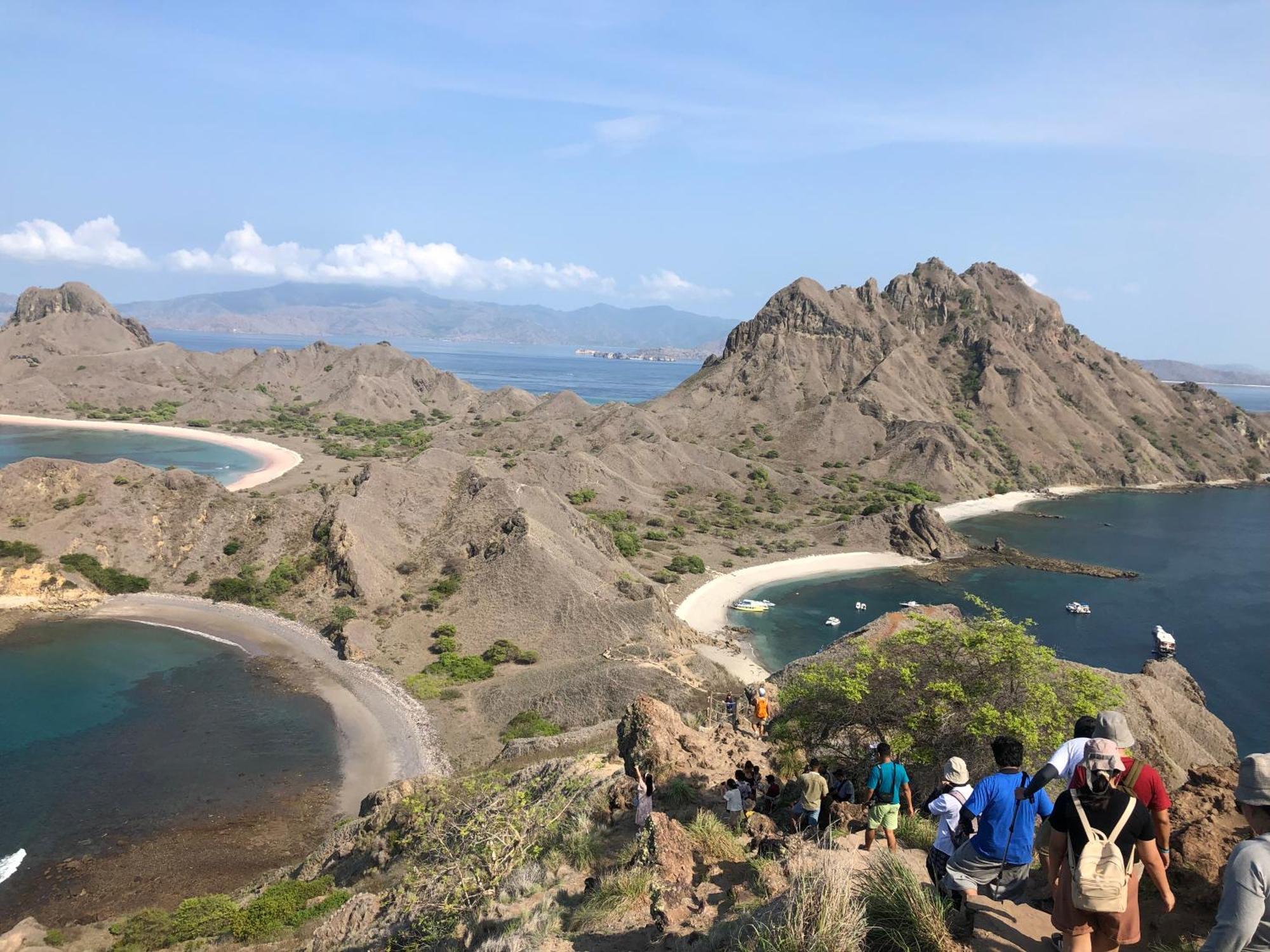 Dua Putri Komodo